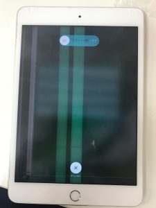 ファイル_000 (43)