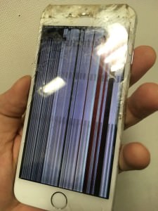 写真 2018-05-21 13 07 52