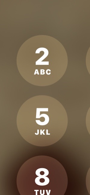 iPhoneの画面がズームされたときのイメージ