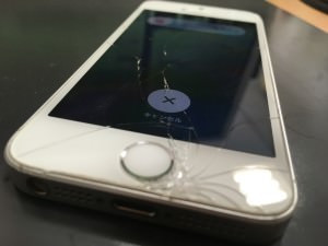 写真 2018-07-12 10 17 43