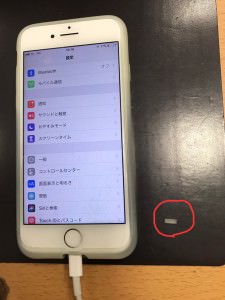 ドックメンテナンス後
