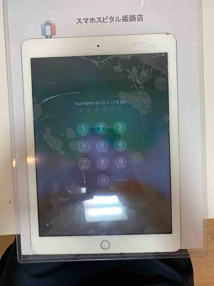 a13e86c0-94e1-4fb7-90fa-87d43981c108_1538637038_1811983602