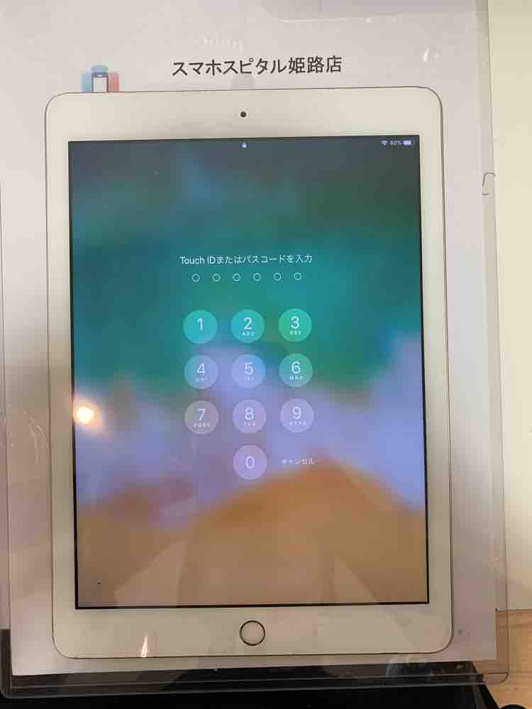 a13e86c0-94e1-4fb7-90fa-87d43981c108_1538637039_1247829476