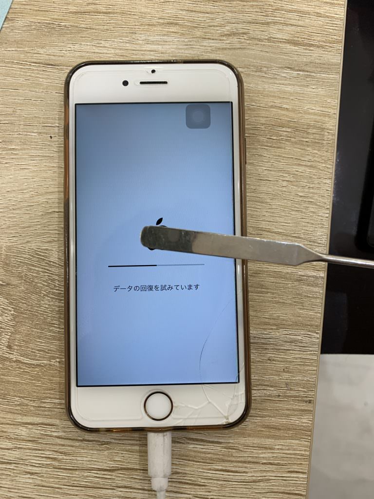 %e3%82%8a%e3%82%93%e3%81%94%e3%83%ab%e3%83%bc%e3%83%97%e5%be%a9%e6%97%a7