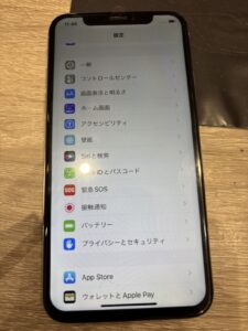 iPhoneX