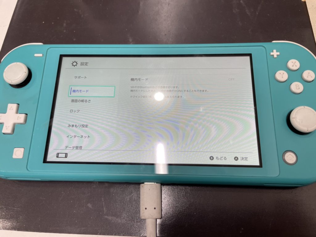 落とした後に直したSwitchLite