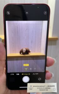 iPhone13miniﾎﾟｰﾄﾚｰﾄ