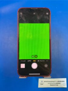 ﾊﾞｯｸｶﾒﾗ緑