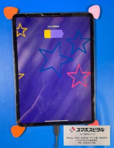 ipadpro11(1)動作確認