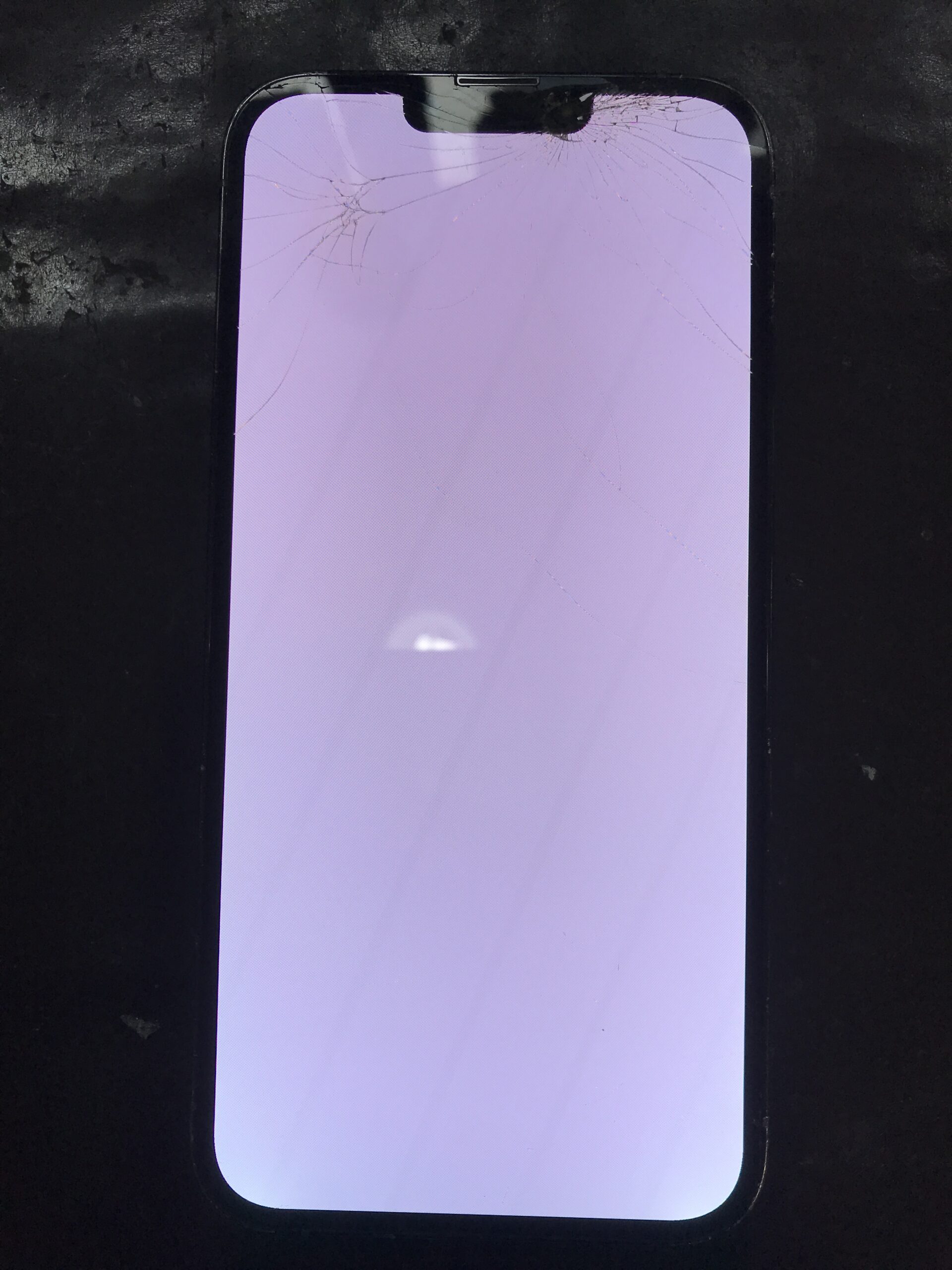 iPhone 13 Pro Maxの修理前に画面が真っ白になった状態