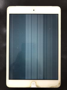 %e5%86%99%e7%9c%9f-2021-04-16-12-34-59