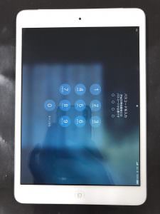 %e5%86%99%e7%9c%9f-2021-04-16-18-34-49