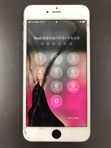 %e5%86%99%e7%9c%9f-2021-09-24-11-55-18