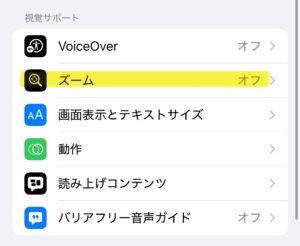 iPhoneの設定画面2