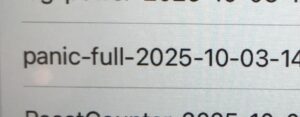 パニックフル？