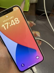 iPhone12Pro　充電口修理