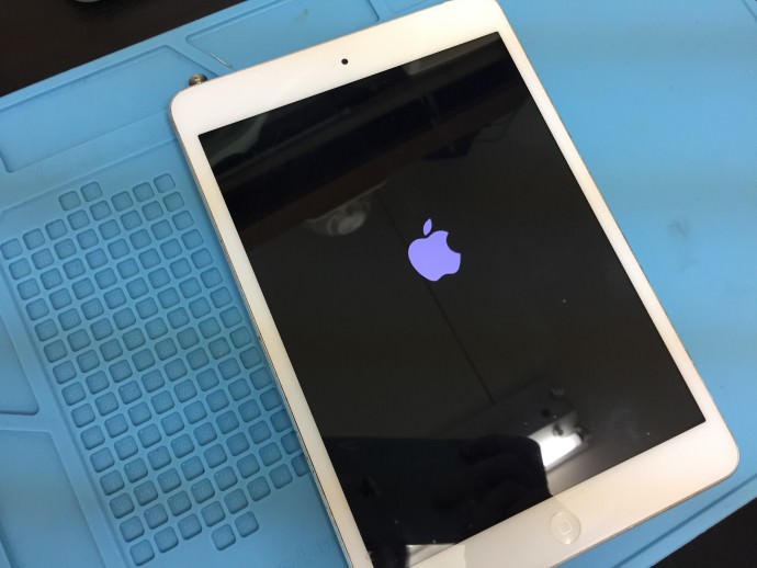 iPad mini 4 りんごループ