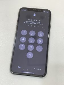 iPhoneX